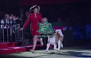 Crufts 2018