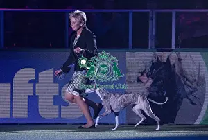 Crufts 2018