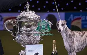 Crufts 2018