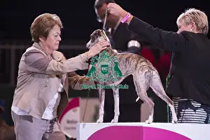 Crufts 2018