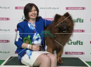 Crufts 2018
