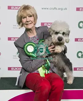 Crufts 2018