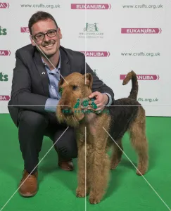 Airedale Terrier