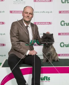 Cairn Terrier