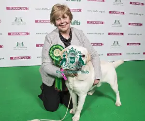 Crufts 2018