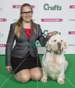 2018 Best of Breed SPANIEL (CLUMBER)