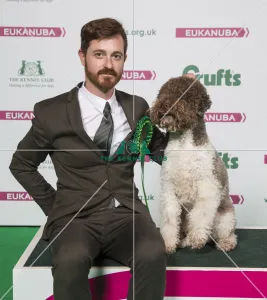 Crufts 2018