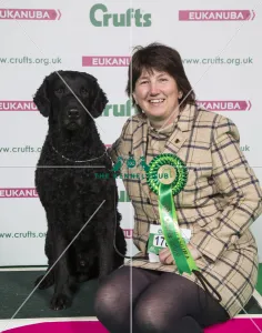 Crufts 2018