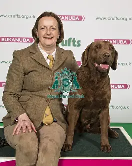Crufts 2018