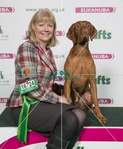 Crufts 2018