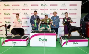 Crufts 2018