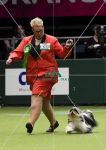 Crufts 2018
