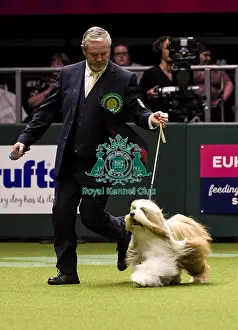Crufts 2018