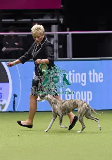 Crufts 2018