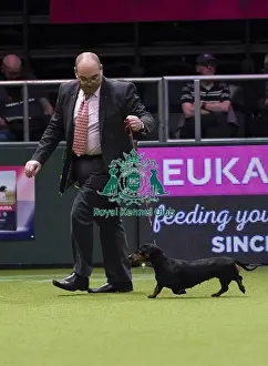 Crufts 2018