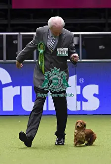 Crufts 2018