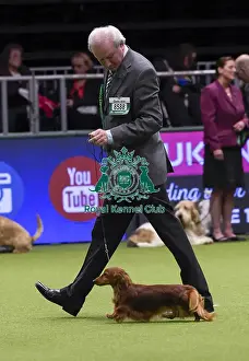 Crufts 2018