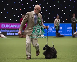 Crufts 2018