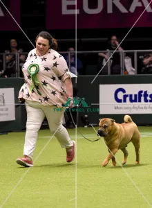 Crufts 2018