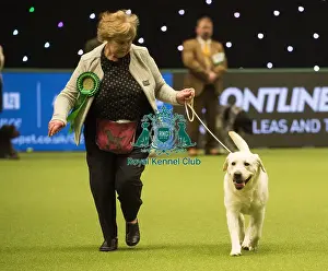 Crufts 2018