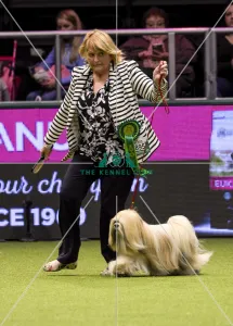Crufts 2018