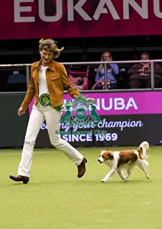 Crufts 2018