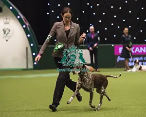 Crufts 2018