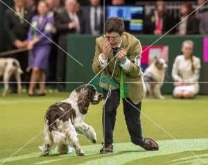 Crufts 2018