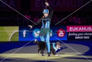 Heelwork to Music - winner