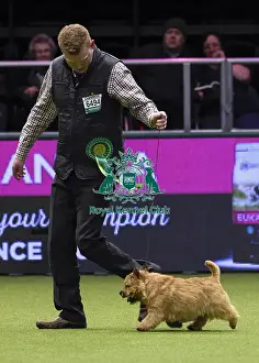 Crufts 2018