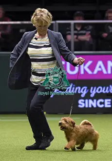 Crufts 2018