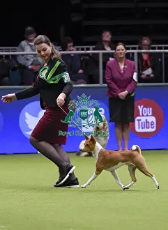Crufts 2018