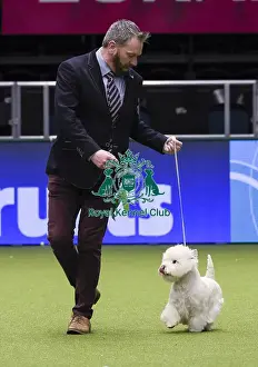 Crufts 2018