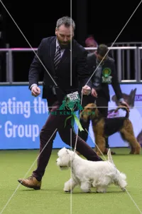 Crufts 2018