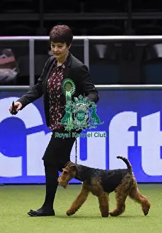 Crufts 2018