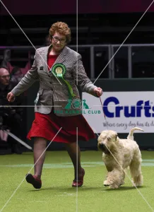 Crufts 2018
