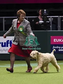 Crufts 2018