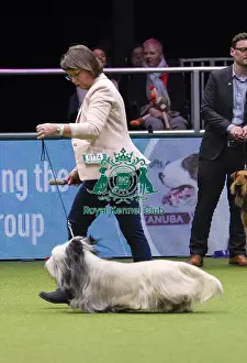 Crufts 2018
