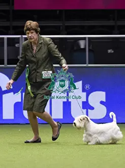 Crufts 2018