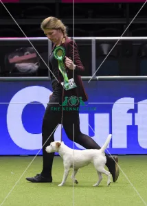 Crufts 2018