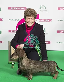 Crufts 2018