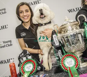 Dog Groomer of the year