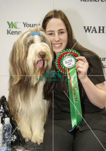 Crufts 2018