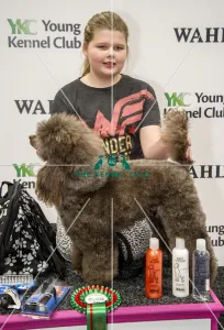 Crufts 2018