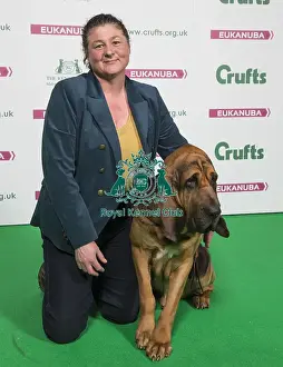 Crufts 2018