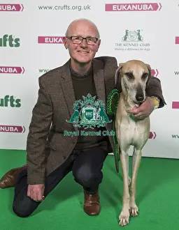 Crufts 2018 Prints: Crufts 2018
