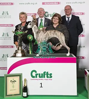 Crufts 2018