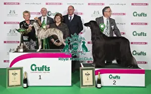 Crufts 2018