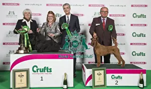 Crufts 2018