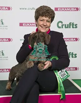 Crufts 2018